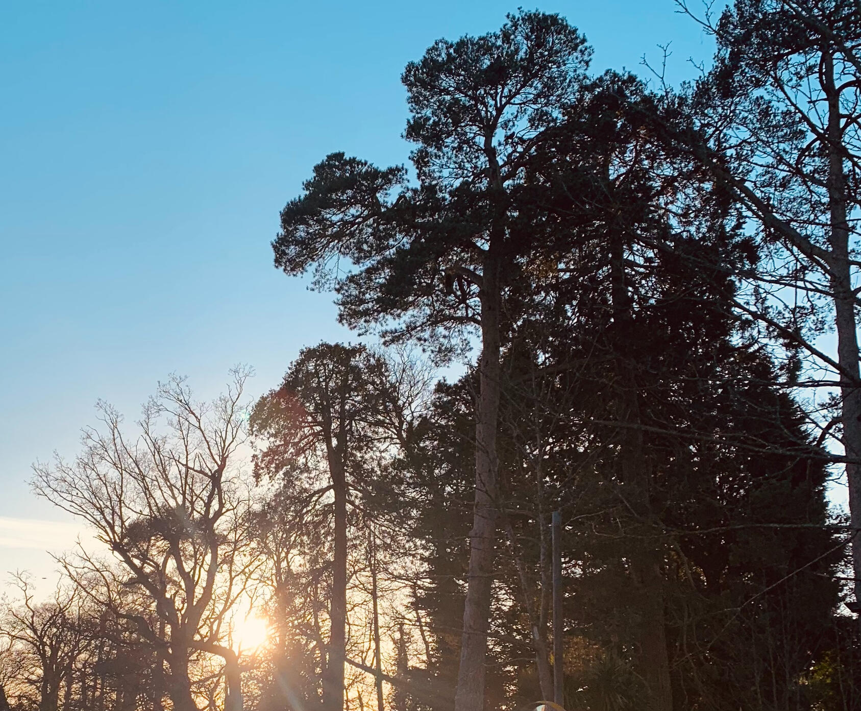 Photo taken by Christopher Dines.