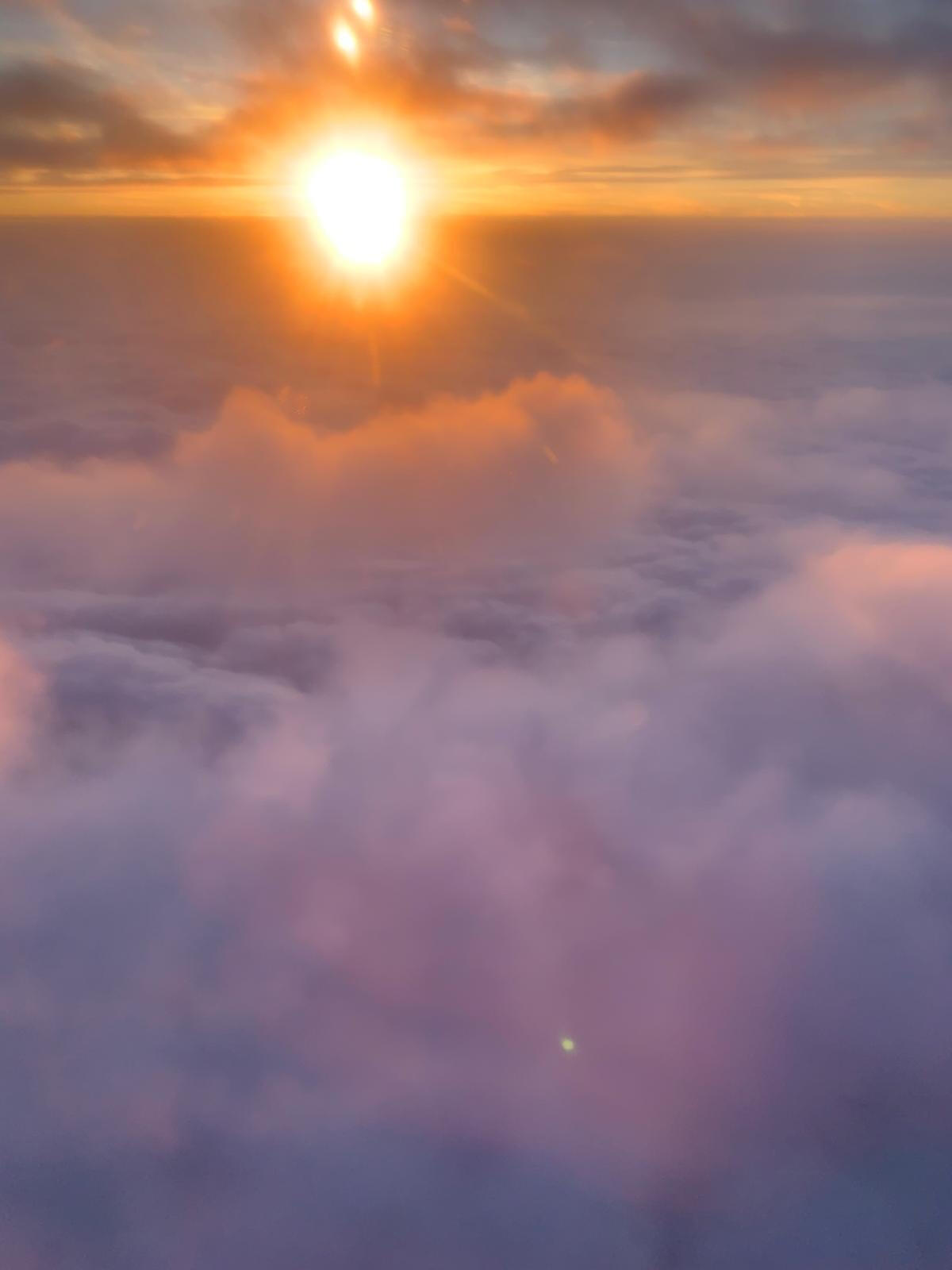 Photo taken by Christopher Dines.
