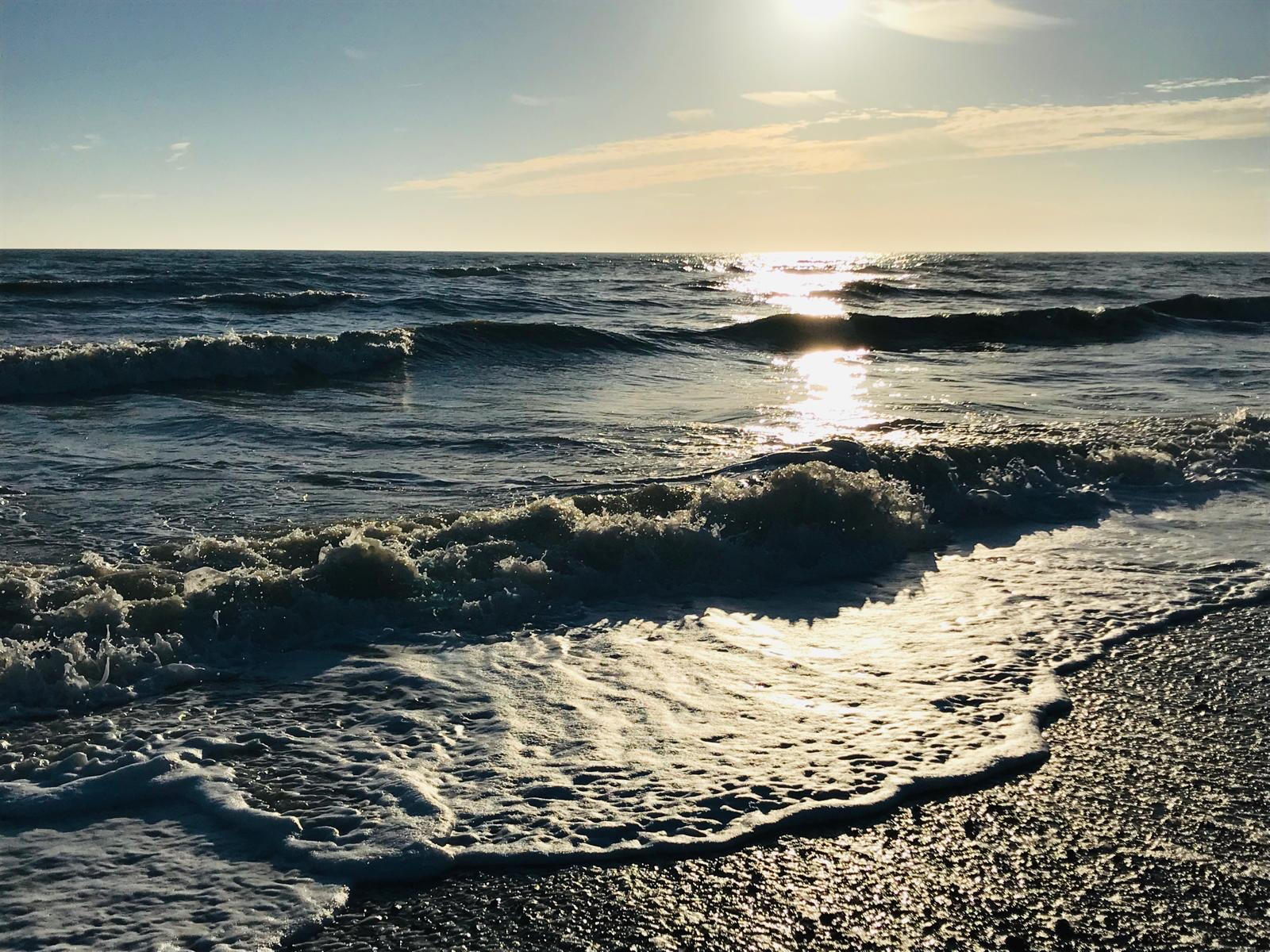 Photo taken by Christopher Dines.